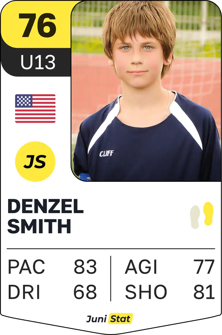 Player's card